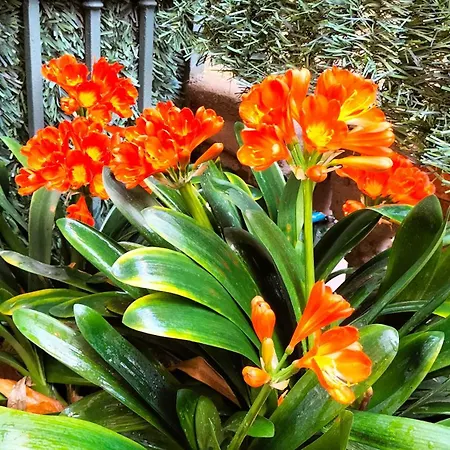 Hotel Center Gran Via