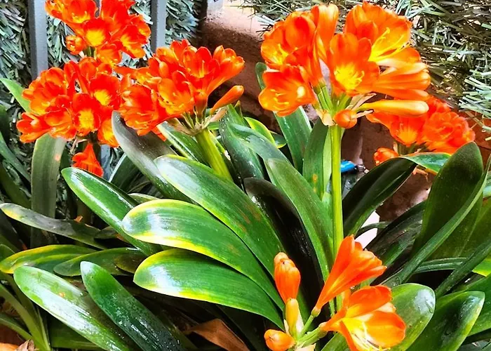 Hotell Center Gran Via